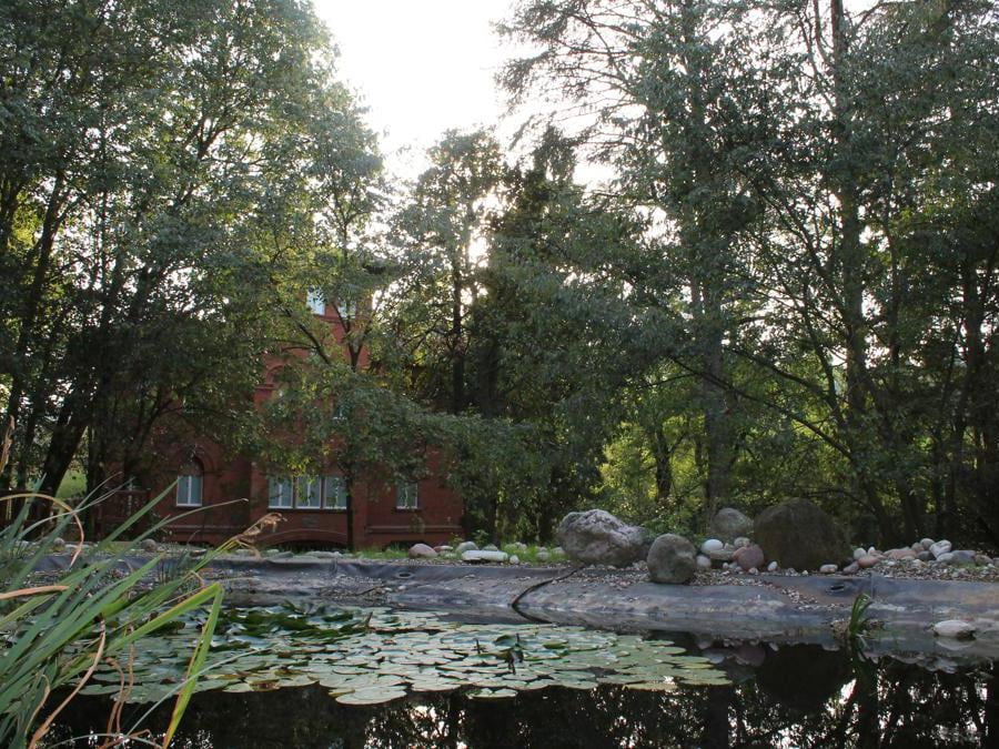Le ninfee acquatiche e Villa Bella