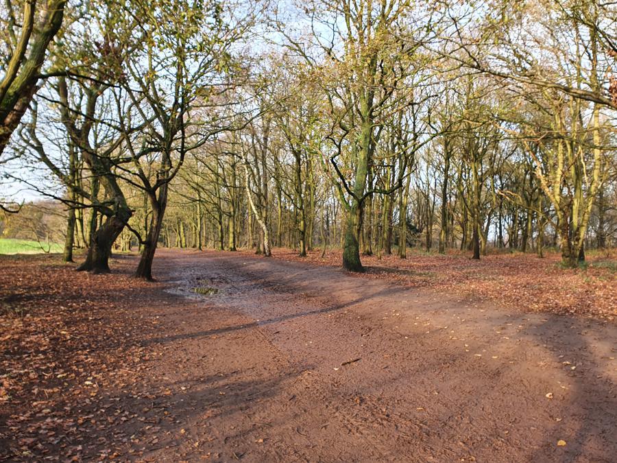 Da Robin Hood A Boris Viaggio Nella Foresta Di Sherwood La Terra Dei Laburisti Pentiti Il