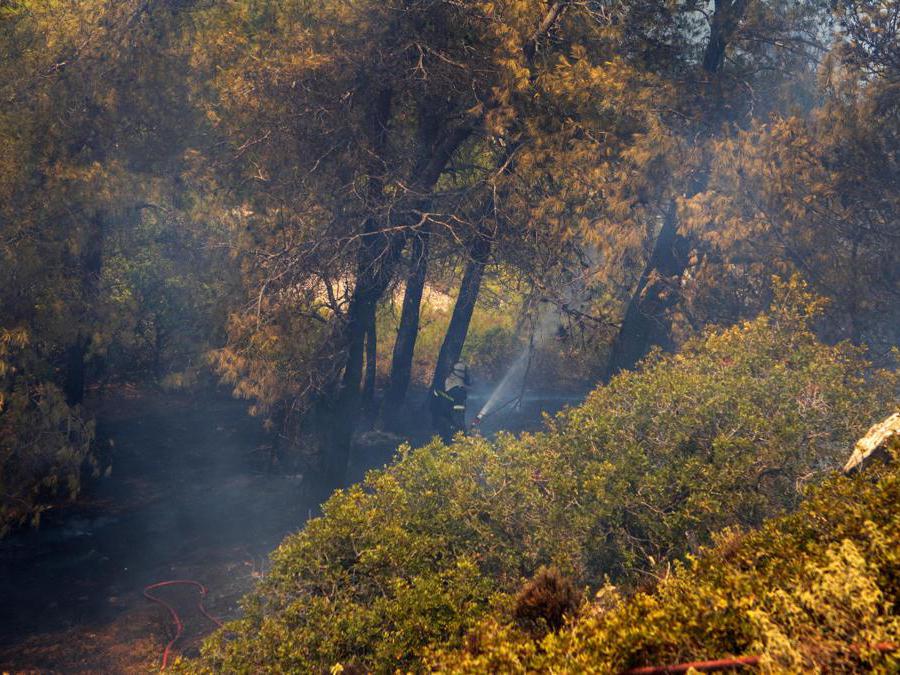  EPA/DAMIANIDIS LEFTERIS