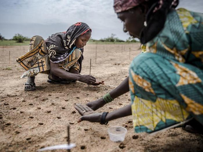 Il cambiamento climatico nel Sahel