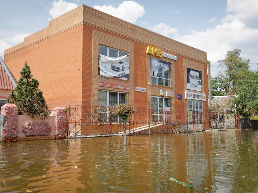  REUTERS/Alexander Ermochenko