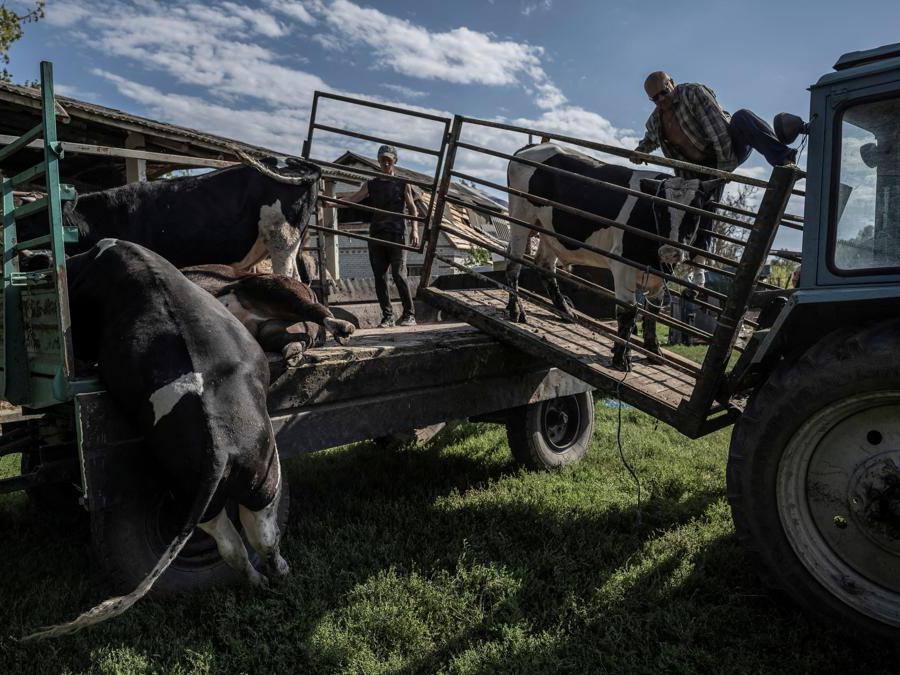  Reuters/Viacheslav Ratynskyi