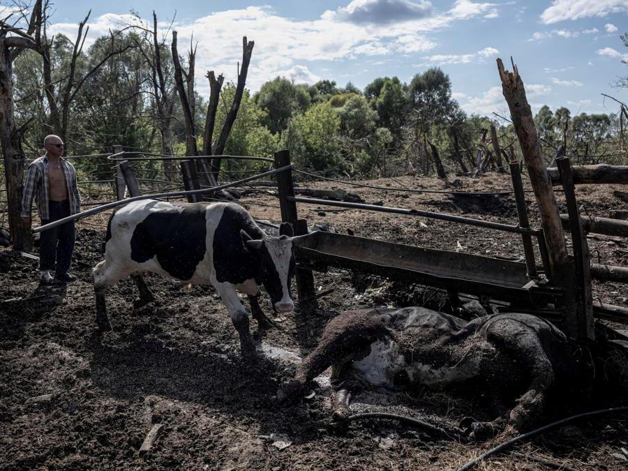  Reuters/Viacheslav Ratynskyi