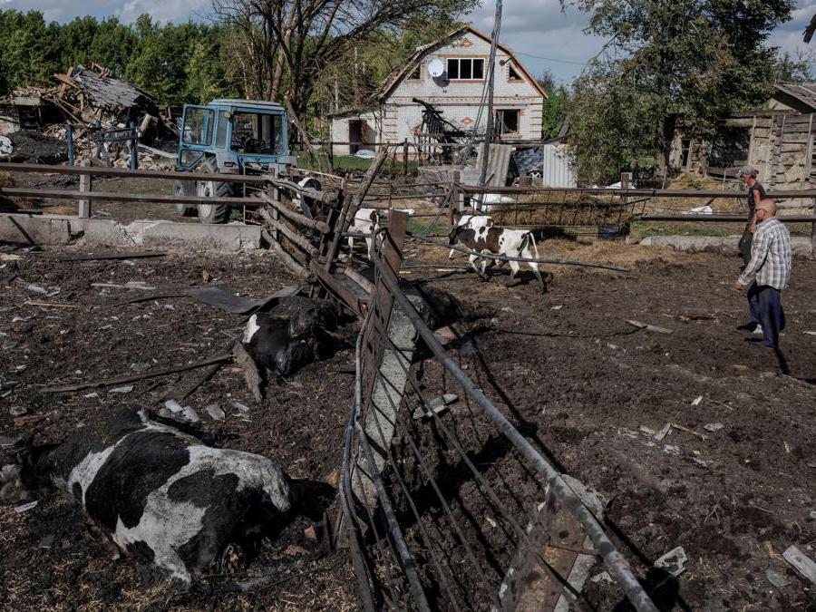  Reuters/Viacheslav Ratynskyi