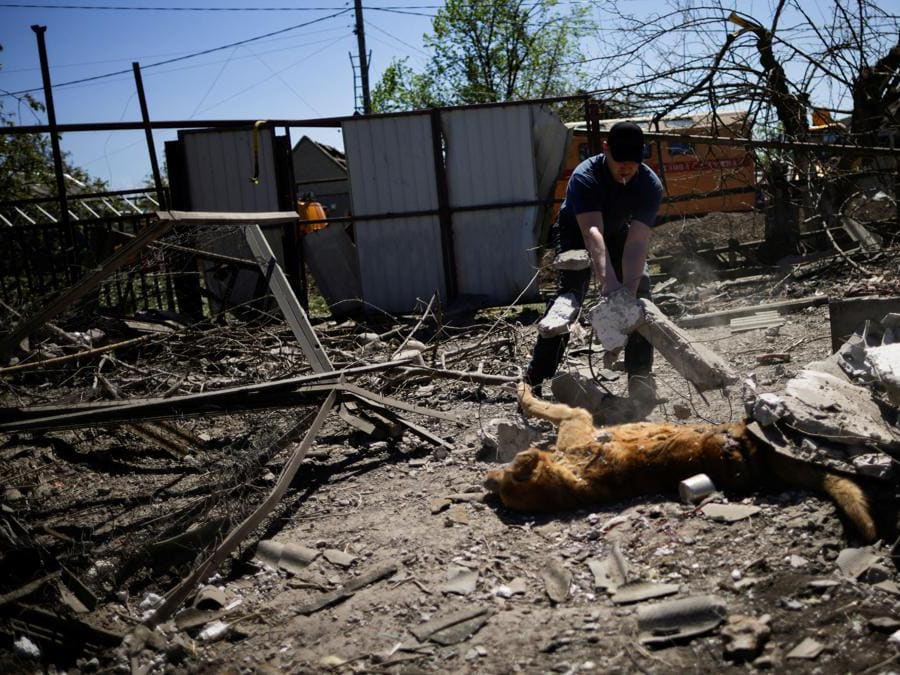 Novotavrycheske, regione di Zaporizhzhia, un ucraino rimuove i detriti da sopra il  corpo del suo cane morto durante i bombardamenti (REUTERS/Ueslei Marcelino)