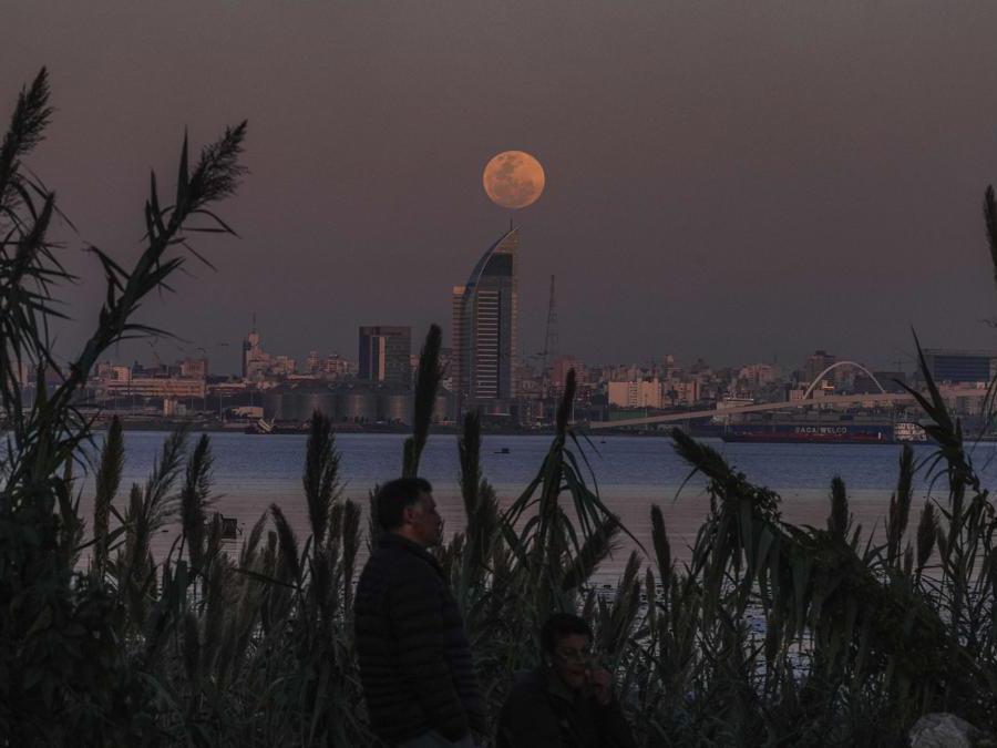 Montevideo, Uruguay. (AP Photo/Matilde Campodonico)