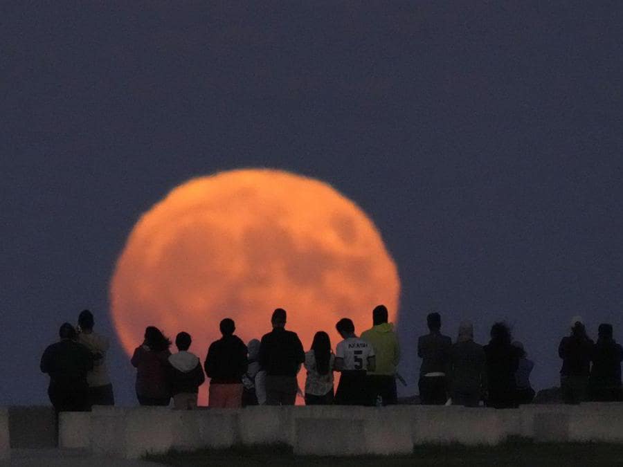 Chicago. (AP Photo/Charles Rex Arbogast)