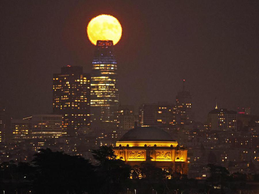 San Francisco, California. Justin Sullivan/Getty Images/AFP (Photo by JUSTIN SULLIVAN / GETTY IMAGES NORTH AMERICA / Getty Images via AFP)