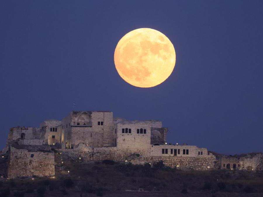 Israele. EPA/ABIR SULTAN