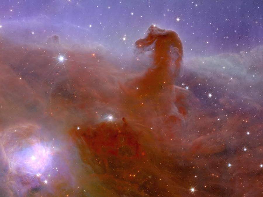 (Photo by HANDOUT / ESA/Euclid/Euclid Consortium/NASA / AFP)
