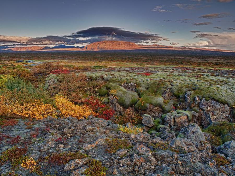 Thingvellir haustlitir