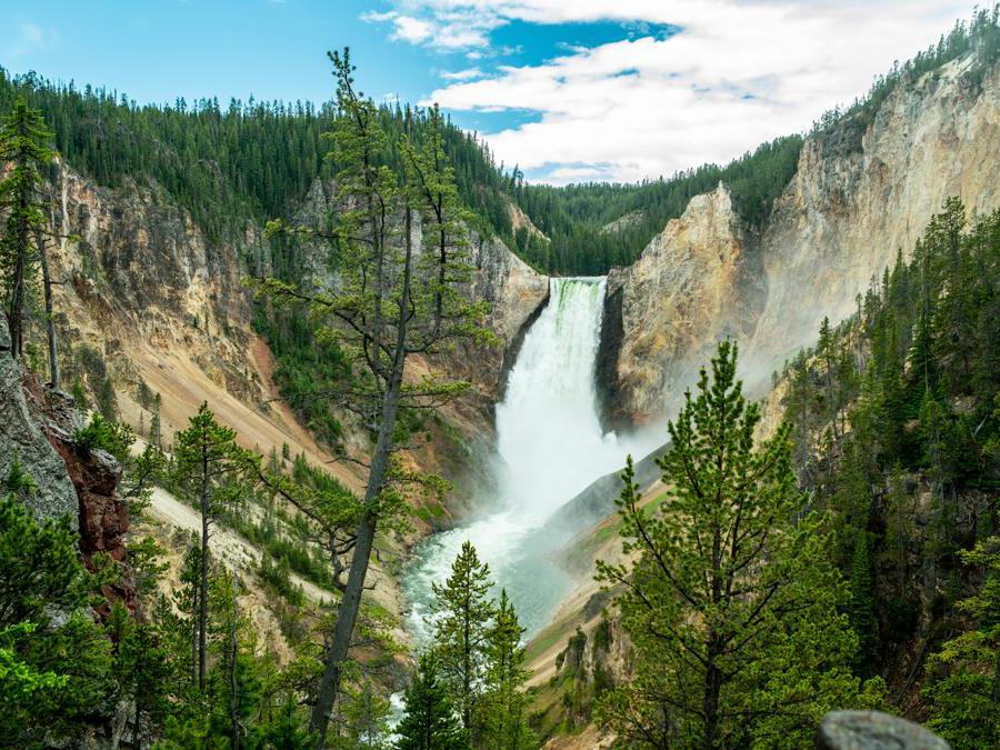 Parco Nazionale di Yellowstone, Wyoming - iscritto nel 1978. Il primo parco nazionale d'America - e il primo sito degli Stati Uniti dichiarato Patrimonio Mondiale dell'UNESCO a partire dal 1978 - è il luogo in cui si trovano alcune delle lande più spettacolari e selvagge del Paese, e numerosi esemplari di alci, alci, bisonti, orsi grizzly e lupi. Il parco ospita anche 300 geyser, il 60% di quelli esistenti nel Pianeta. Queste sorgenti termali naturali emettono getti di vapore e acqua bollente a intervalli regolari e insieme alle sorgenti termali multicolore e alle piscine di fango ribollenti rappresentano un esempio delle caratteristiche geotermiche del parco.