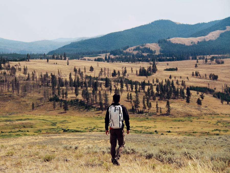 Parco Nazionale di Yellowstone, Wyoming - iscritto nel 1978. Il primo parco nazionale d'America - e il primo sito degli Stati Uniti dichiarato Patrimonio Mondiale dell'UNESCO a partire dal 1978 - è il luogo in cui si trovano alcune delle lande più spettacolari e selvagge del Paese, e numerosi esemplari di alci, alci, bisonti, orsi grizzly e lupi. Il parco ospita anche 300 geyser, il 60% di quelli esistenti nel Pianeta. Queste sorgenti termali naturali emettono getti di vapore e acqua bollente a intervalli regolari e insieme alle sorgenti termali multicolore e alle piscine di fango ribollenti rappresentano un esempio delle caratteristiche geotermiche del parco.