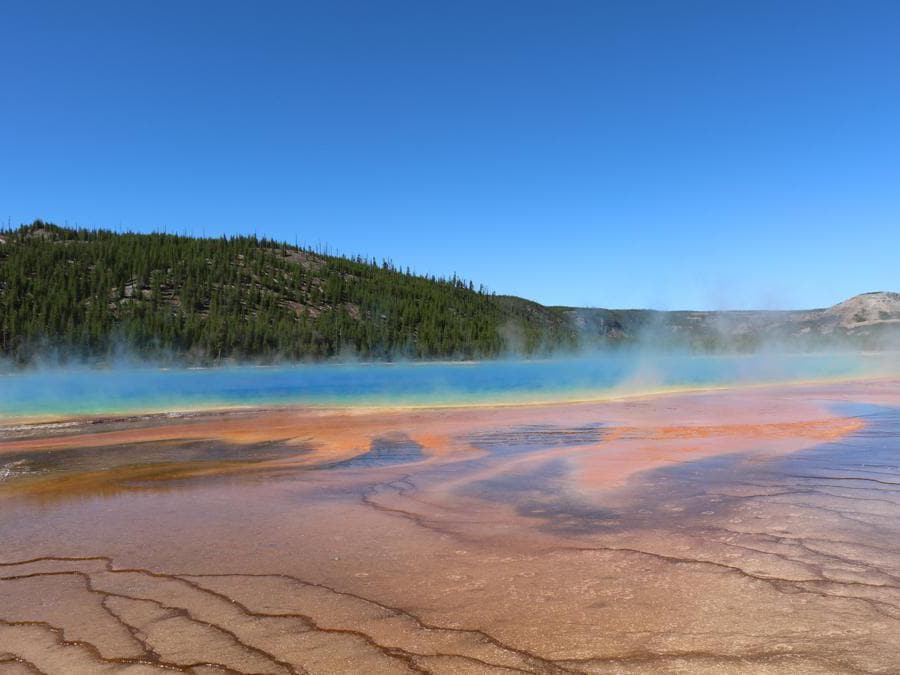 Parco Nazionale di Yellowstone, Wyoming - iscritto nel 1978. Il primo parco nazionale d'America - e il primo sito degli Stati Uniti dichiarato Patrimonio Mondiale dell'UNESCO a partire dal 1978 - è il luogo in cui si trovano alcune delle lande più spettacolari e selvagge del Paese, e numerosi esemplari di alci, alci, bisonti, orsi grizzly e lupi. Il parco ospita anche 300 geyser, il 60% di quelli esistenti nel Pianeta. Queste sorgenti termali naturali emettono getti di vapore e acqua bollente a intervalli regolari e insieme alle sorgenti termali multicolore e alle piscine di fango ribollenti rappresentano un esempio delle caratteristiche geotermiche del parco.
