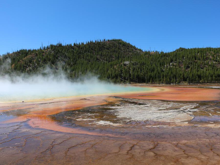 Parco Nazionale di Yellowstone, Wyoming - iscritto nel 1978. Il primo parco nazionale d'America - e il primo sito degli Stati Uniti dichiarato Patrimonio Mondiale dell'UNESCO a partire dal 1978 - è il luogo in cui si trovano alcune delle lande più spettacolari e selvagge del Paese, e numerosi esemplari di alci, alci, bisonti, orsi grizzly e lupi. Il parco ospita anche 300 geyser, il 60% di quelli esistenti nel Pianeta. Queste sorgenti termali naturali emettono getti di vapore e acqua bollente a intervalli regolari e insieme alle sorgenti termali multicolore e alle piscine di fango ribollenti rappresentano un esempio delle caratteristiche geotermiche del parco.