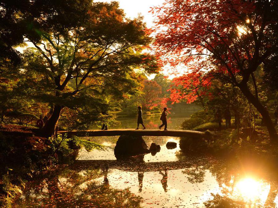 Nei giardini Rikugien, situati nel quartiere Bunkyo, nella zona nord di Tokyo dal 20 novembre al 12 dicembre, dove si trovano diverse varietà di aceri e zelkove, viene prolungato l'orario di apertura per le speciali illuminazioni serali. Al calare del sole il contrasto delle foglie con il cielo scuro rende i colori ancora più vibranti, regalando scorci unici di questa area verde che ha da sempre ispirato artisti e poeti e rientra nel patrimonio culturale della città.