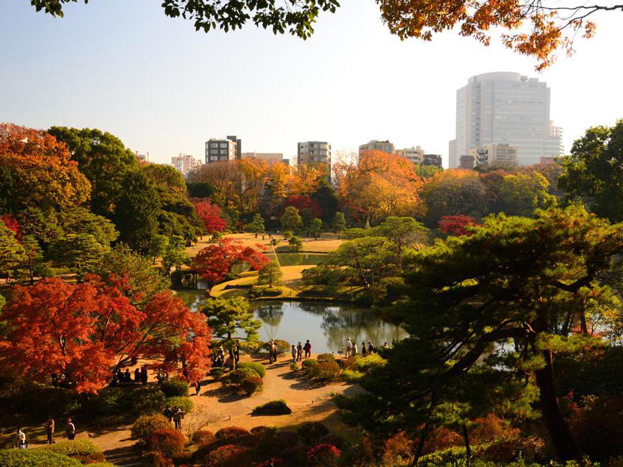 Nei giardini Rikugien, situati nel quartiere Bunkyo, nella zona nord di Tokyo dal 20 novembre al 12 dicembre, dove si trovano diverse varietà di aceri e zelkove, viene prolungato l'orario di apertura per le speciali illuminazioni serali. Al calare del sole il contrasto delle foglie con il cielo scuro rende i colori ancora più vibranti, regalando scorci unici di questa area verde che ha da sempre ispirato artisti e poeti e rientra nel patrimonio culturale della città.
