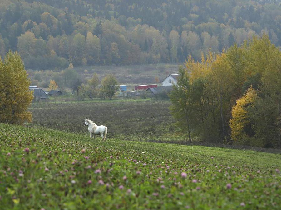 Paesaggio a Gorodechno, 150 km da Minsk (AP Photo/Sergei Grits)