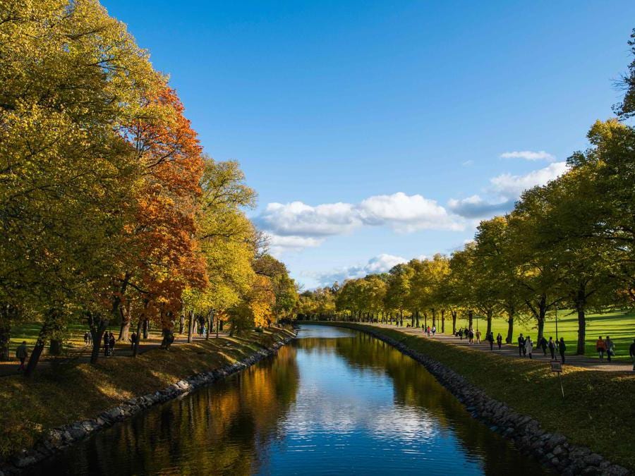 Djurgarden parco cittadino nazionale a Stoccolma,(Photo by Jonathan NACKSTRAND / AFP)