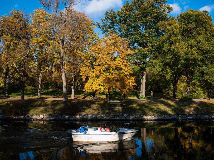 Djurgarden parco cittadino nazionale a Stoccolma,(Photo by Jonathan NACKSTRAND / AFP)