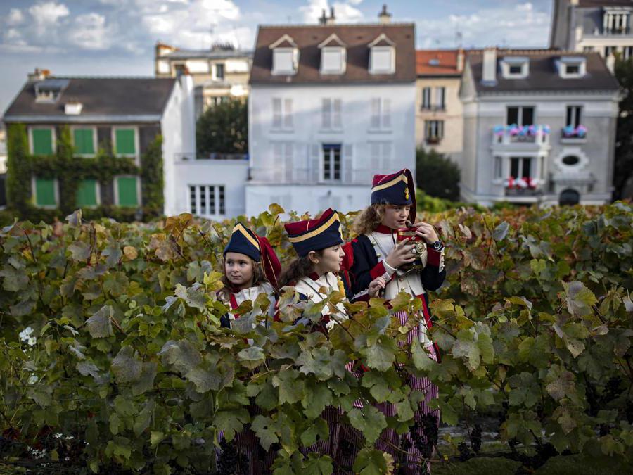 Bambini della Repubblica di Montmartre partecipano alla vendemmia nel Clos de Montmartre(EPA/IAN LANGSDON)