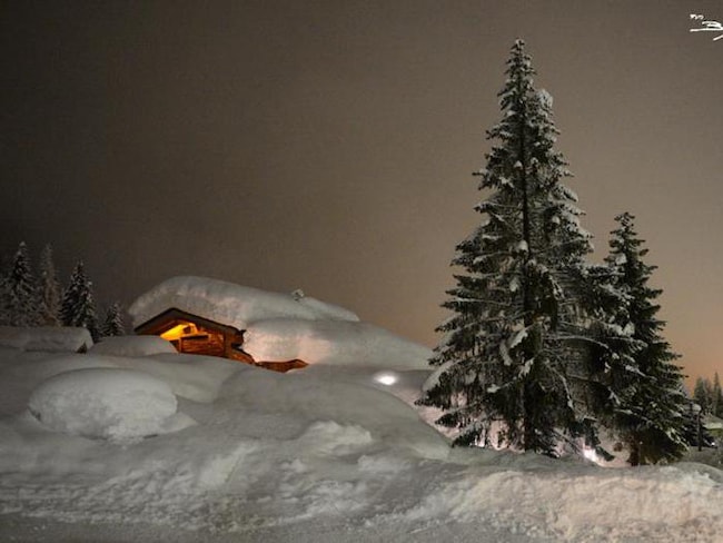 Pronti con gli sci ai piedi a Campiglio, Livigno e Tonale 
