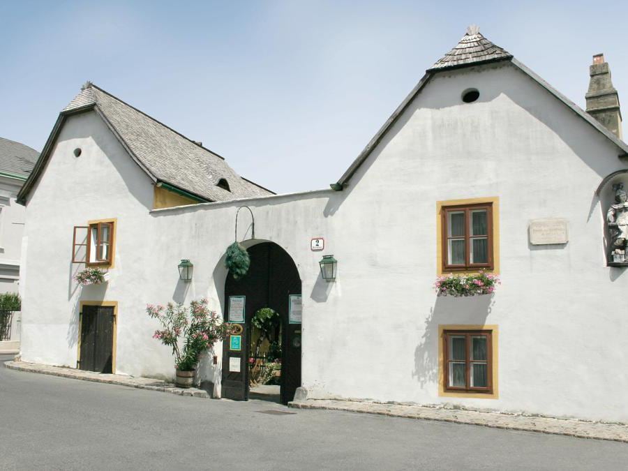 Un locale tipico nelle vicinnaze del museo dedicato a Beethoven -Mayer am Pfarrplatz
